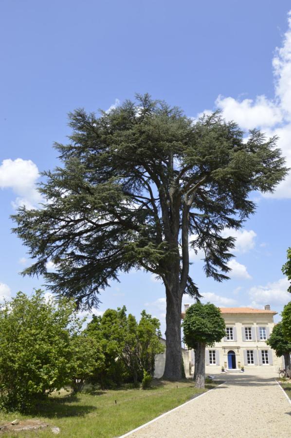 Chateau Nardon Crimon Hotel Saint-Christophe-des-Bardes ภายนอก รูปภาพ
